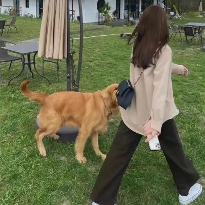 李碧华鬼魅系列:奇幻夜 海报