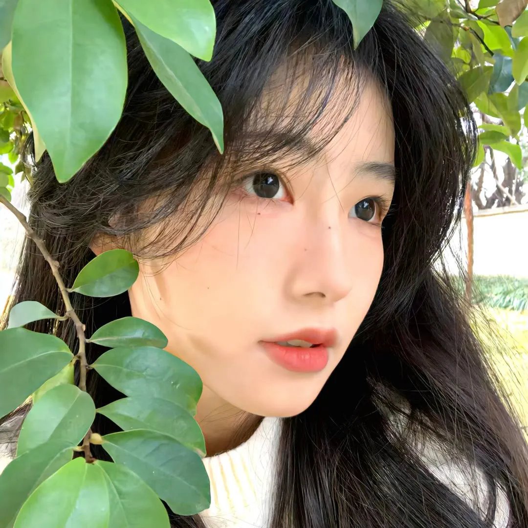 枪灵计划 海报